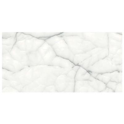 Thunder Onyx Silver porcelain tile, 60×120 cm, polished