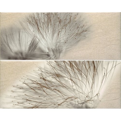 Декор Ape Ceramica Base Miel, комплект 2 бр., 20×50 см